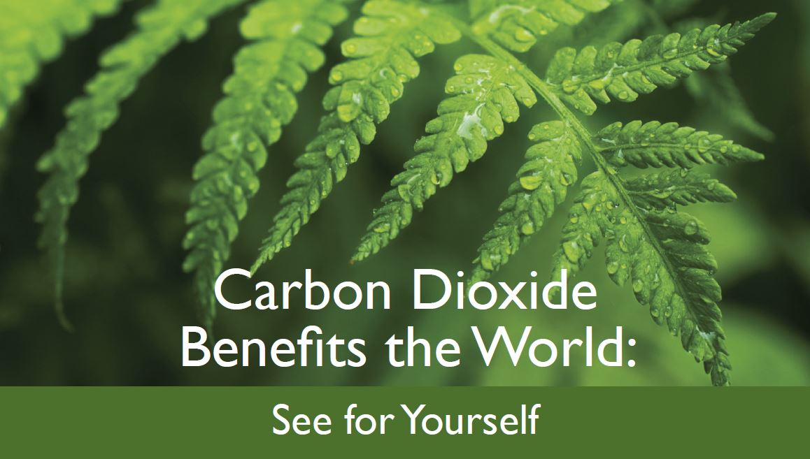 Carbon Dioxide Benefits the World: See for Yourself - CO2 Coalition