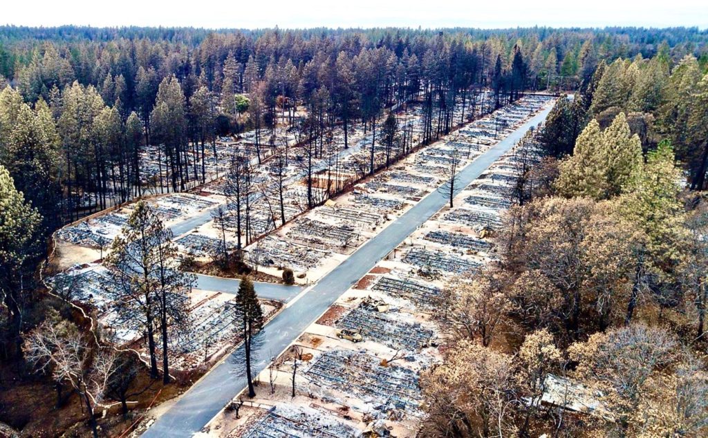 Forest fires caused by lightning and humans, not by 