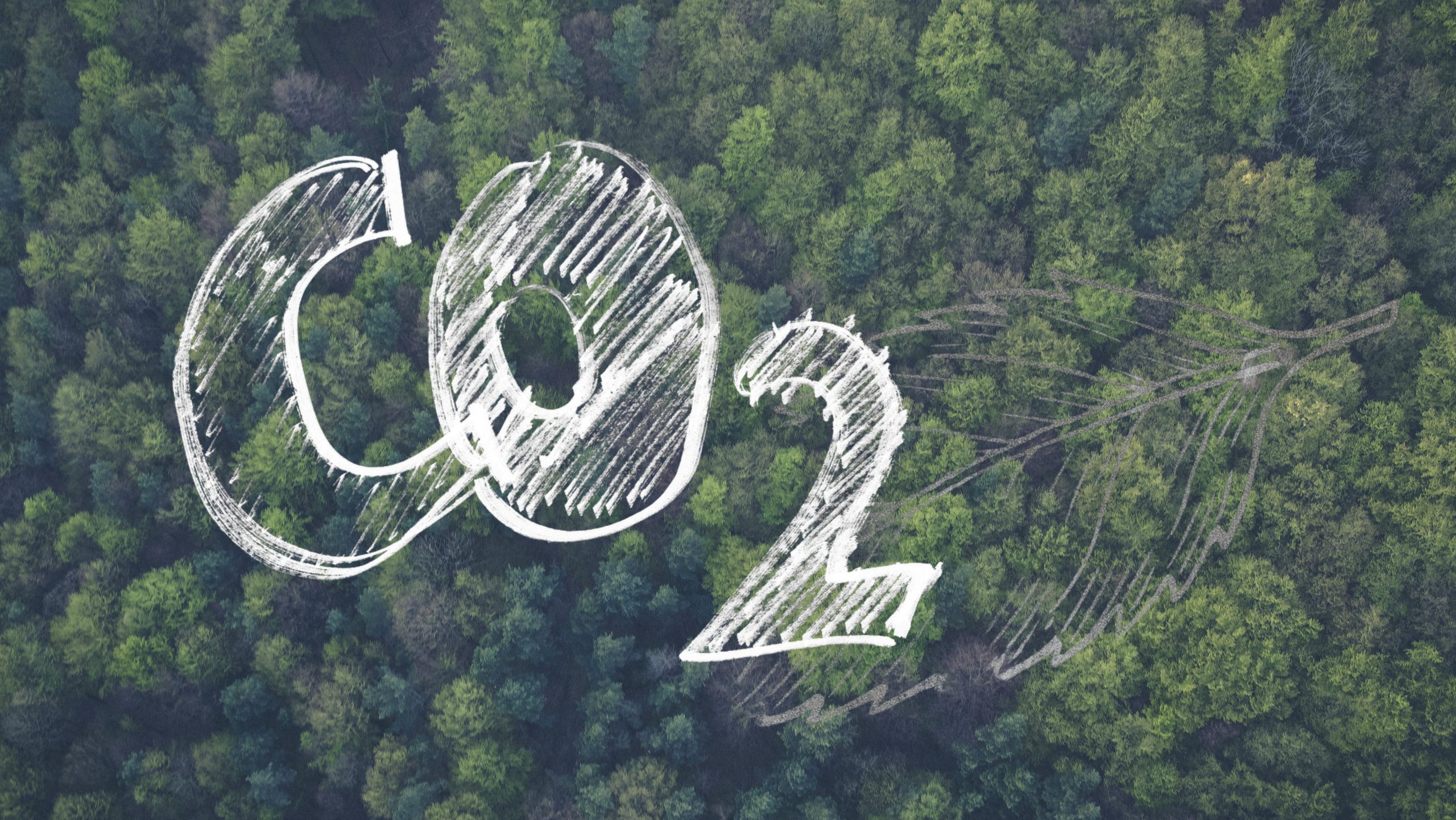 How I Learned to Stop Worrying and Love Carbon Dioxide - CO2 Coalition
