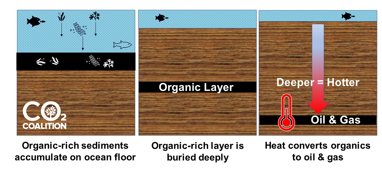 Fossil Fuels Nature's Solar Batteries CO2 Coalition